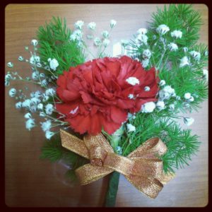Teacher's day carnation