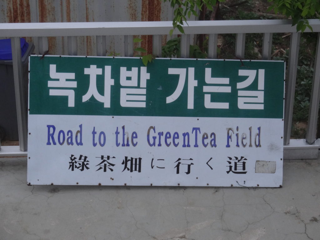 Road to the Green Tea Field