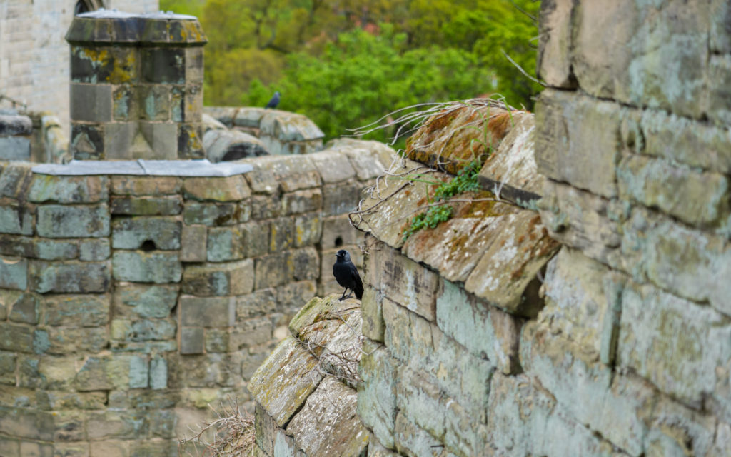 Ramparts and Castle Walls, Warwickshire
