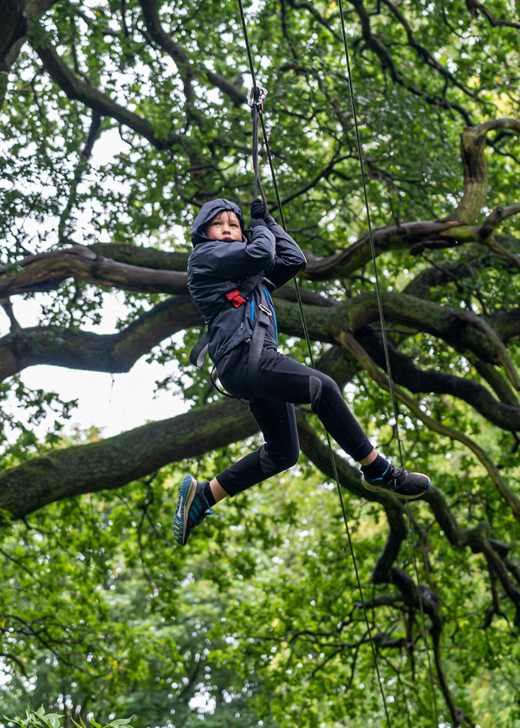 Swinging through the treetops