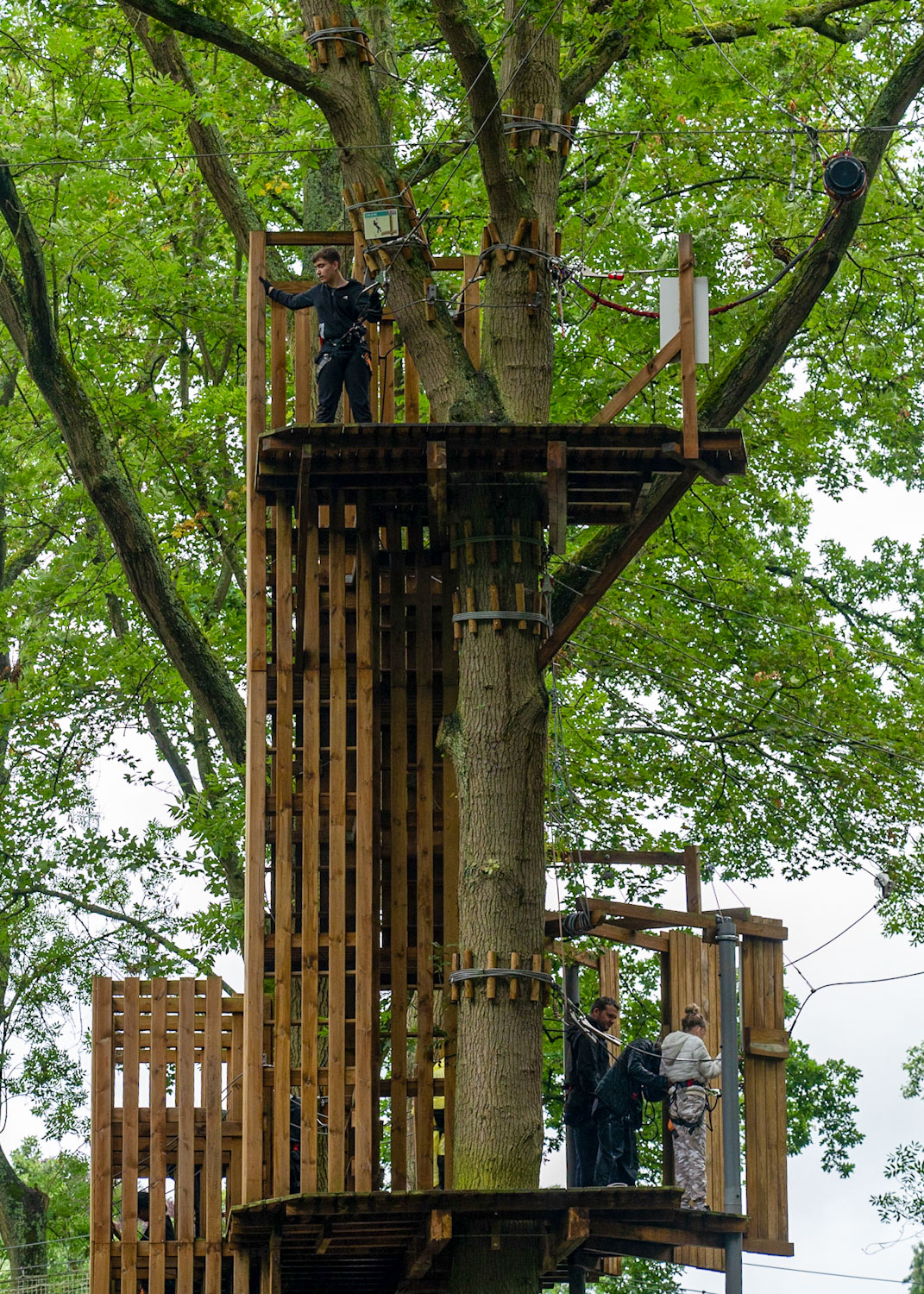 Face your fear and experience the excitement at Go Ape