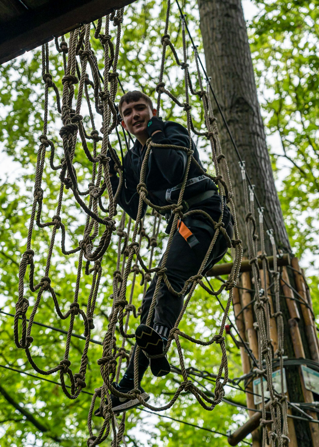 Fun in the treetops at Go Ape Coventry