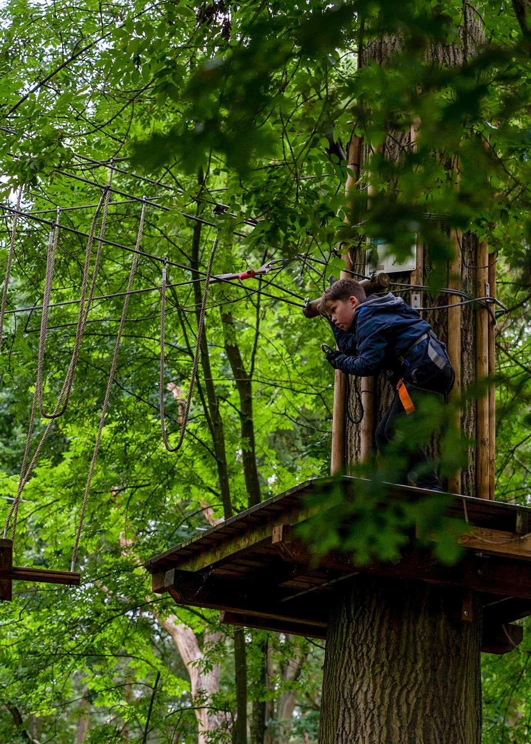 Attaching the D-ring and trolley to the safety wires