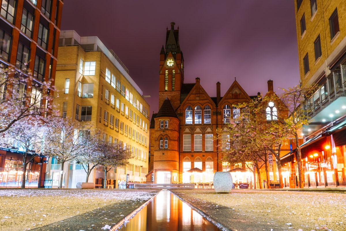 Cherry blossom at night in Oozells Square, Birmingham (2017)